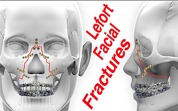 The Dental Square Guwahati