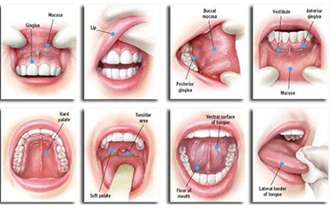 The Dental Square Guwahati